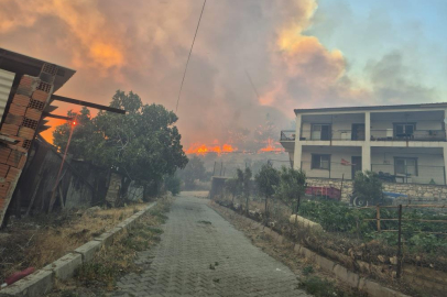 İzmir’deki orman yangını kontrol altında   
