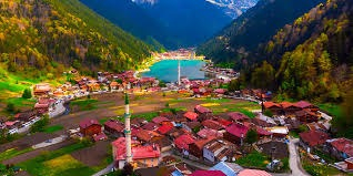 Uzungöl Tabiat Parkı