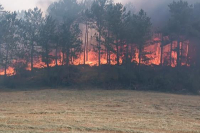 Bolu Göynük'te orman yangını! Alevler Çatacık Köyüne yaklaştı