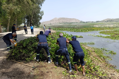 İstilacı sümbül temizliğiyle Gölbaşı Gölü hayat buluyor