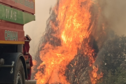 Manisa Akhisar’da orman yangını: 3 köy tahliye edildi