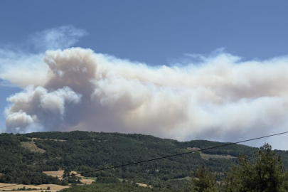 Orman yangınında itfaiyecilerin ölüm kalım savaşı kamerada: "Geri çık abi yanacağız"