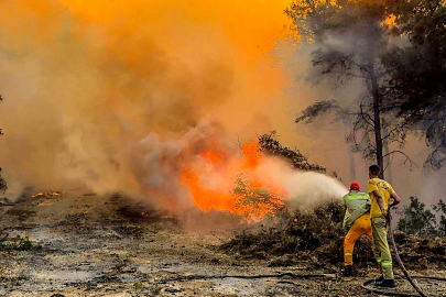 Sıcaklık yükseldi, tehlike büyüdü: Türkiye orman yangınlarıyla mücadele ediyor
