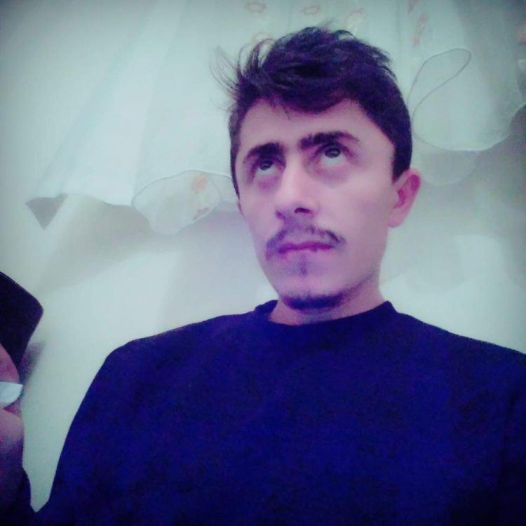 Kırım Kongo Kanamalı Ateşi virüsü 