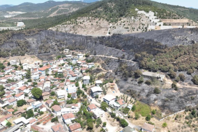Bursa'da peş peşe orman yangınları: 65 hektar alan küle döndü