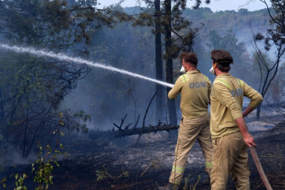 Edirne'deki orman yangını kontrol altında, ancak rüzgar alevleri yeniden canlandırıyor