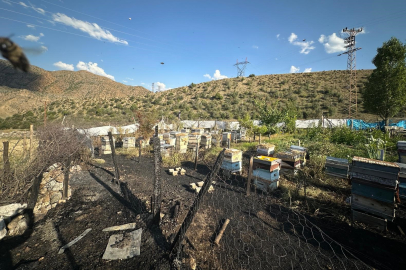 Erzurum'da arı kovanları alevlere teslim oldu