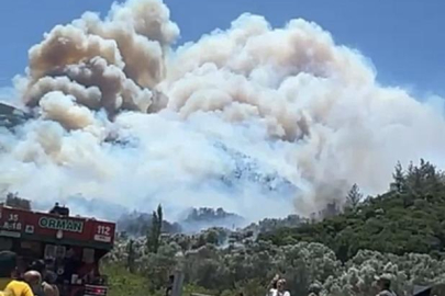 İzmir Menderes'te orman yangını büyüyor
