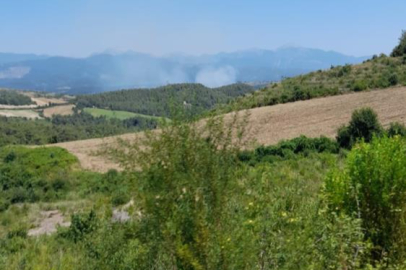 Osmaniye'de orman yangını başladı