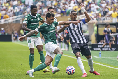 Palmeiras, uzatmalarda Botafogo'yu devirdi