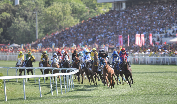 99. Gazi Koşusu'nun şampiyonu Ahmet Çelik ile Cutha oldu! Jokey Çelik 8. zaferini kazandı 2