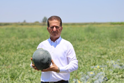 Adana’da karpuz fiyatları dibe vurdu