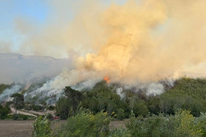 Adana Kozan'da yangınla mücadele sürüyor
