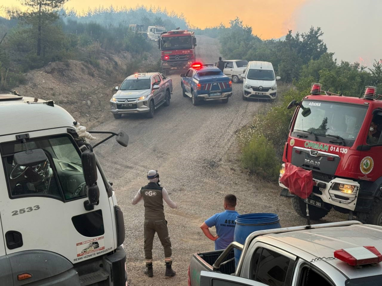 Adana Kozan'da yangınla mücadele sürüyor 2
