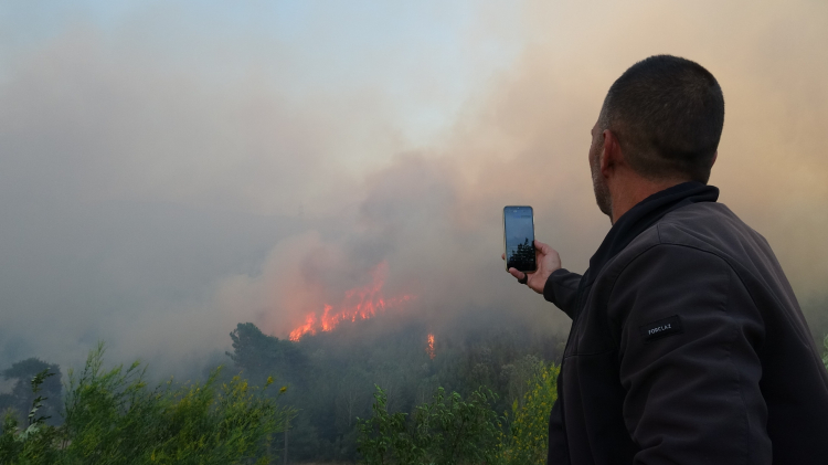 Adana Kozan'da yangınla mücadele sürüyor 3