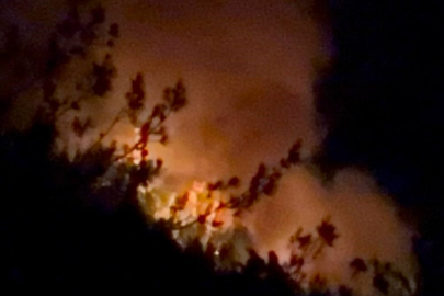 Adana ve Osmaniye’de 14 farklı noktada orman yangını çıktı, 13’ü kontrol altında