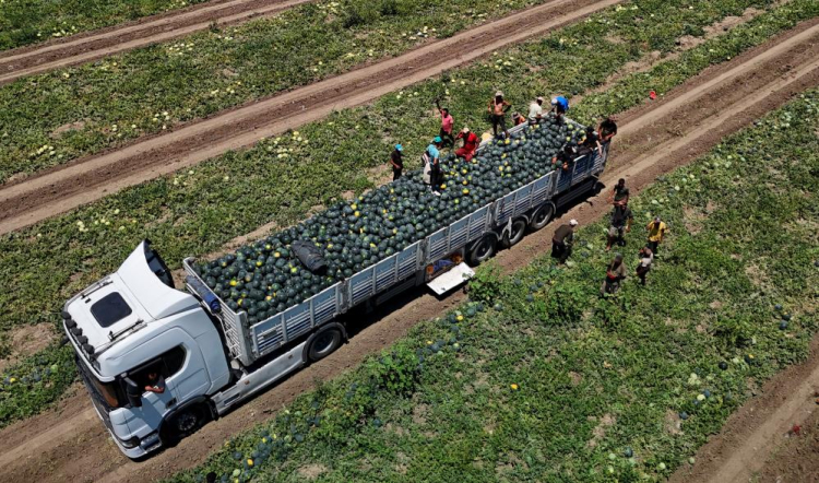 Yüreğir Ziraat Odası Başkanı Mehmet Akın Doğan