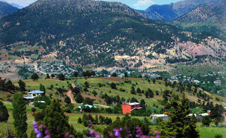  Kırım Kongo Kanamalı Ateşi 