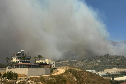 Hatay’da ormanlık alanda yangın paniği