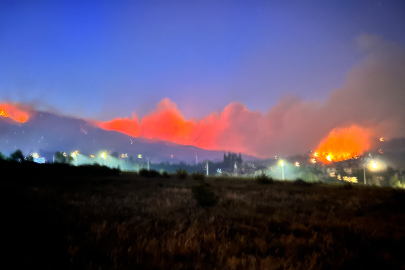 Hatay'daki orman yangınında 12. saat! Alevler 3 mahalleye yayıldı, 1800 kişi tahliye edildi