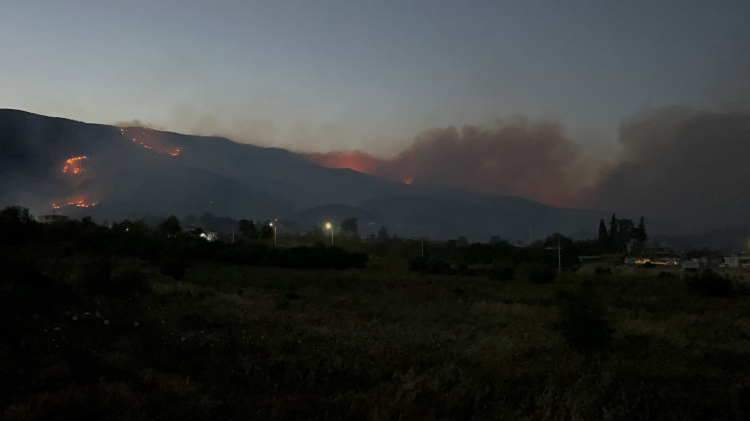 Hatay'daki orman yangınında 12. saat! Alevler 3 mahalleye yayıldı, 1800 kişi tahliye edildi 2