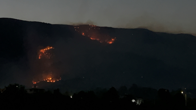 Hatay'daki orman yangınında 12. saat! Alevler 3 mahalleye yayıldı, 1800 kişi tahliye edildi 3