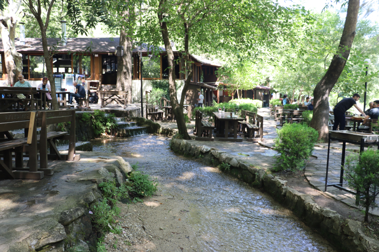 kozan dağılcak