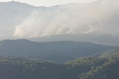 İzmir'deki orman yangınları sürüyor