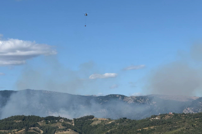 Kozan'daki orman yangını sürüyor, ekipler müdahale ediyor