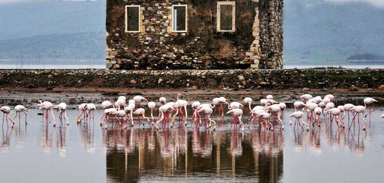 Bargilya Antik Kenti Kalıntıları
