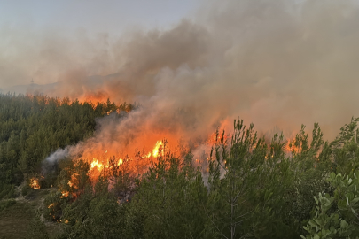 Adana Kozan’da orman yangını kontrol altına alındı