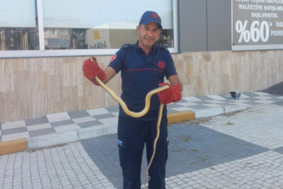 Balıkesir’de aracın motoruna giren yılan paniğe neden oldu