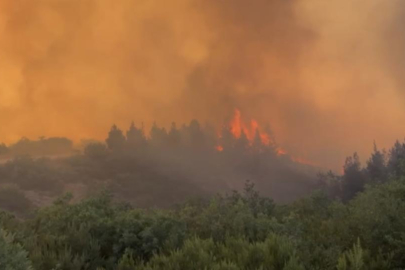 Balıkesir’de ormanlık alana sıçrayan yangına havadan ve karadan müdahale