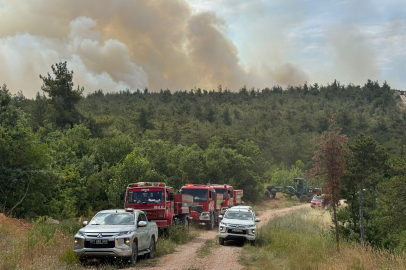 Bilecik’te Zobran köyünde orman yangını başladı