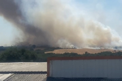Bursa Nilüfer’de ekili arazide yangın paniği