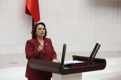 Dr. Müzeyyen Şevkin, Adana PTT işçilerinin mağduriyetini meclise taşıdı