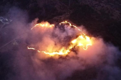 Keneyi yakmak isterken ormanı yaktı