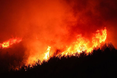 Ormana giriş yasakları 2025: Hangi illerde ormana girmek yasaklandı? İşte güncel liste...