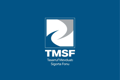 TMSF, Akfel Gaz Grubu ve İstikbal Mobilya’yı satışa çıkarıyor