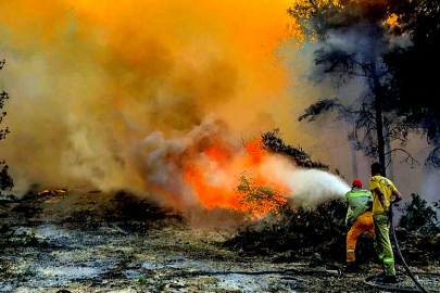 Bakan Yumaklı: İzmir, Manisa ve Bilecik'in 6 bölgesinde yangınlar tamamen kontrol altına alındı