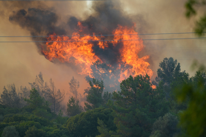 Çeşme'de orman yangını: Tahliyeler başladı, alevler Urla'ya yöneldi