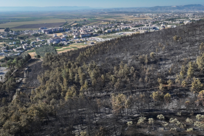 Hatay'da orman yangını sonrası yerleşim yerlerine yakın yerler küle döndü