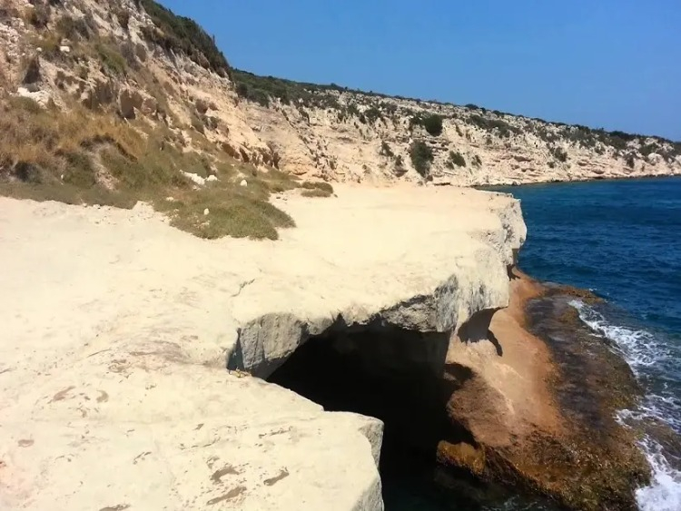 Ayıbalığı Koyu: İzmir’in Saklı Doğa Harikası