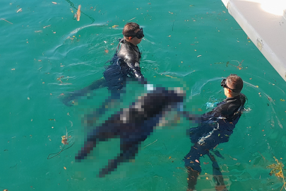 Muğla'da acı olay: Engelli adama akülü sandalyesiyle kendini denize bıraktı!