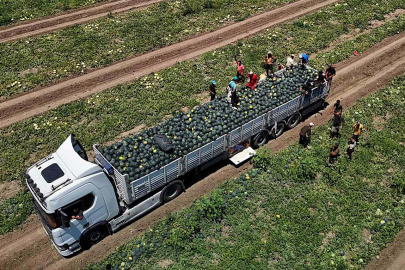 Tarım ve hayvancılıkta sürdürülebilirlik hayati önem taşıyor
