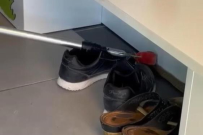  Ayakkabılıktan çıkan yılan paniğe neden oldu     