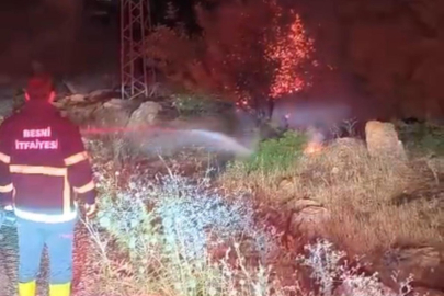 Besni’de 600 dönümlük ormanlık alan küle döndü