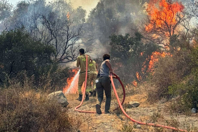 Yangın Ekoloğu Doç. Dr. Ürker: Hatay'daki orman yangınında tehlike bitmedi