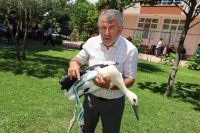 Yaralı leyleğe şefkat eli