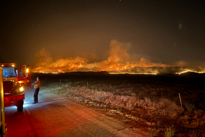 ABD’de orman yangınında 52 bin dönümden fazla alan küle döndü